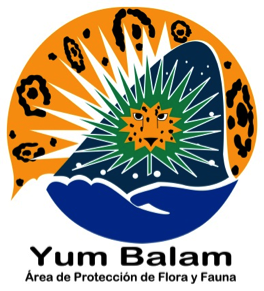 Yum Balam